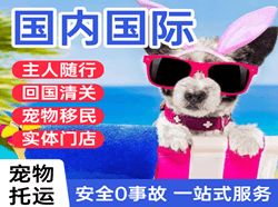 花果山机场空运国际宠物托运 【国